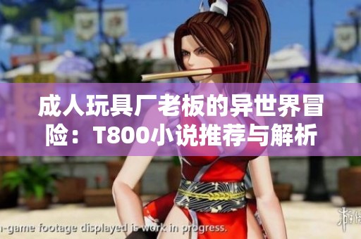 成人玩具厂老板的异世界冒险：T800小说推荐与解析