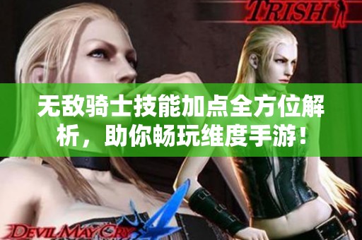 无敌骑士技能加点全方位解析，助你畅玩维度手游！