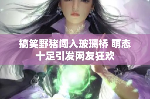 搞笑野猪闯入玻璃桥 萌态十足引发网友狂欢
