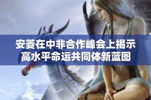 安菱在中非合作峰会上揭示高水平命运共同体新蓝图
