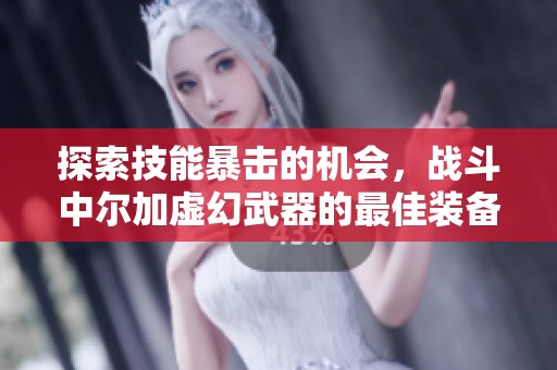 探索技能暴击的机会，战斗中尔加虚幻武器的最佳装备选择