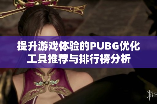 提升游戏体验的PUBG优化工具推荐与排行榜分析