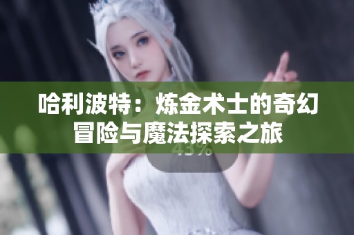哈利波特：炼金术士的奇幻冒险与魔法探索之旅