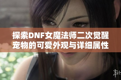 探索DNF女魔法师二次觉醒宠物的可爱外观与详细属性