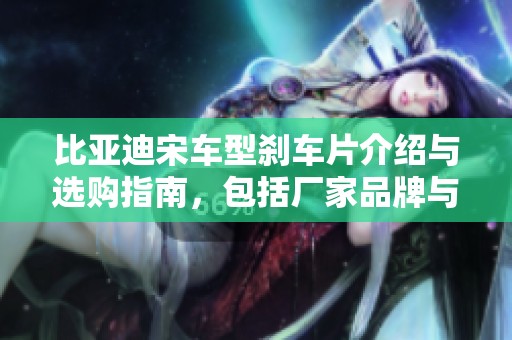 比亚迪宋车型刹车片介绍与选购指南，包括厂家品牌与图片推荐