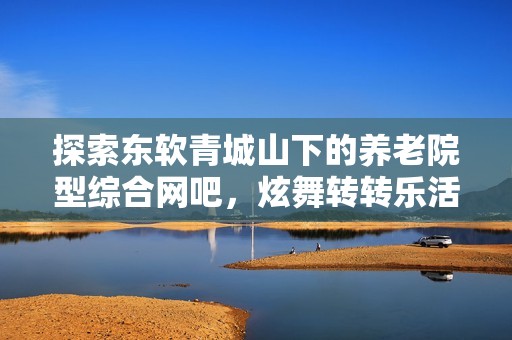 探索东软青城山下的养老院型综合网吧，炫舞转转乐活动时间揭秘