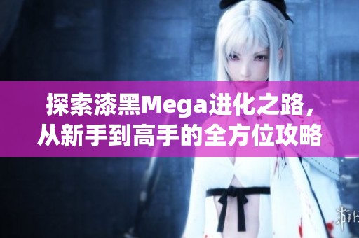 探索漆黑Mega进化之路，从新手到高手的全方位攻略指南