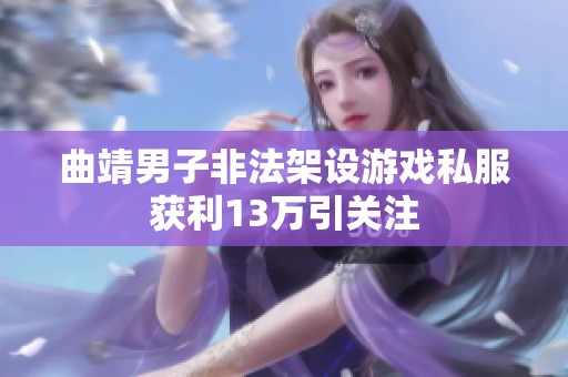 曲靖男子非法架设游戏私服获利13万引关注