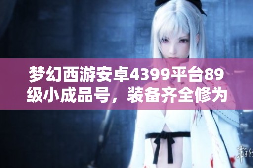 梦幻西游安卓4399平台89级小成品号，装备齐全修为接近满级
