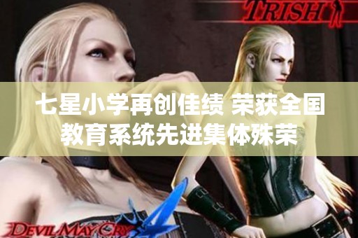 七星小学再创佳绩 荣获全国教育系统先进集体殊荣
