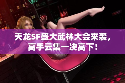 天龙SF盛大武林大会来袭，高手云集一决高下！