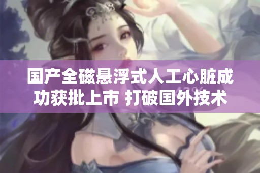 国产全磁悬浮式人工心脏成功获批上市 打破国外技术垄断新局面