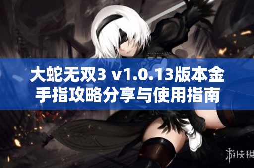 大蛇无双3 v1.0.13版本金手指攻略分享与使用指南