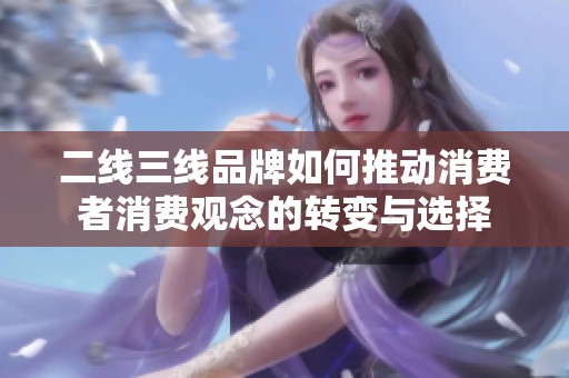 二线三线品牌如何推动消费者消费观念的转变与选择