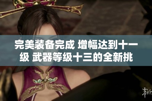 完美装备完成 增幅达到十一级 武器等级十三的全新挑战