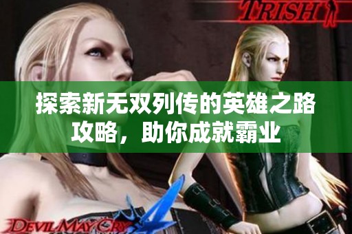 探索新无双列传的英雄之路攻略，助你成就霸业