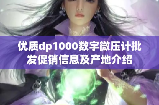 优质dp1000数字微压计批发促销信息及产地介绍
