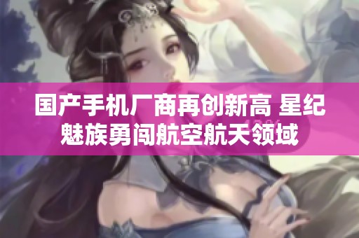 国产手机厂商再创新高 星纪魅族勇闯航空航天领域