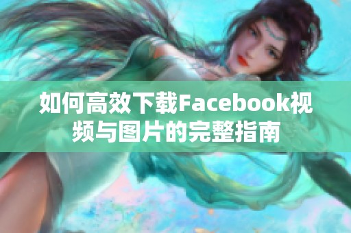 如何高效下载Facebook视频与图片的完整指南