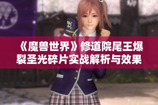 《魔兽世界》修道院尾王爆裂圣光碎片实战解析与效果展示