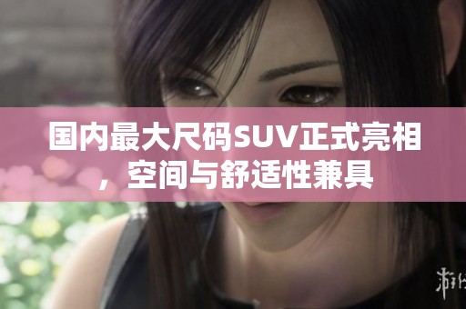 国内最大尺码SUV正式亮相，空间与舒适性兼具
