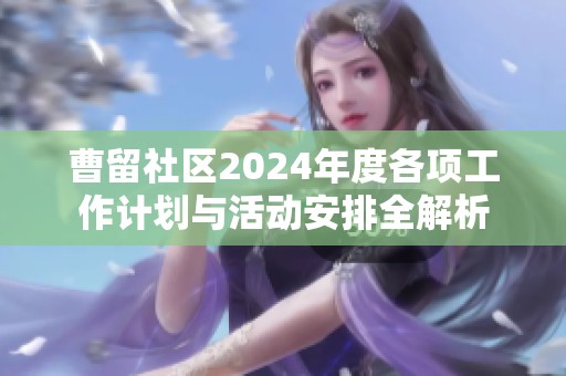 曹留社区2024年度各项工作计划与活动安排全解析