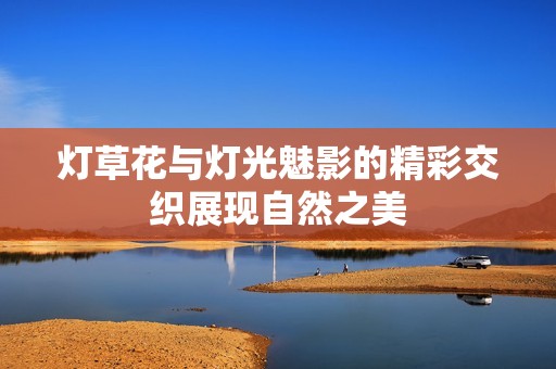 灯草花与灯光魅影的精彩交织展现自然之美