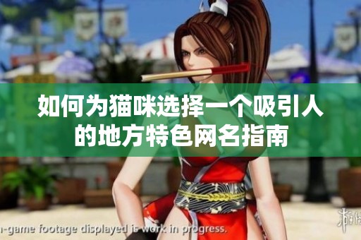 如何为猫咪选择一个吸引人的地方特色网名指南