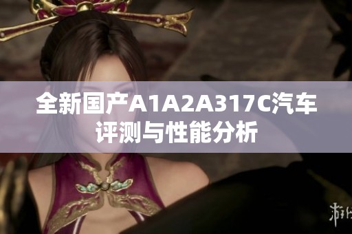 全新国产A1A2A317C汽车评测与性能分析