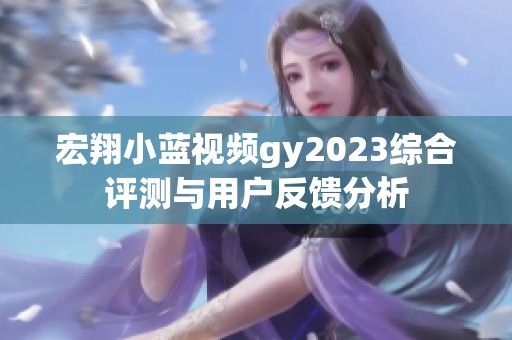 宏翔小蓝视频gy2023综合评测与用户反馈分析
