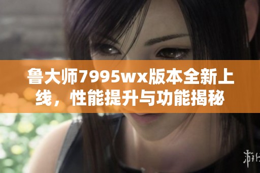 鲁大师7995wx版本全新上线，性能提升与功能揭秘