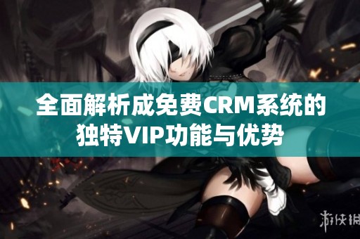 全面解析成免费CRM系统的独特VIP功能与优势