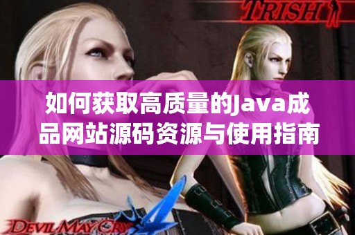 如何获取高质量的Java成品网站源码资源与使用指南