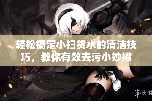 轻松搞定小扫货水的清洁技巧，教你有效去污小妙招