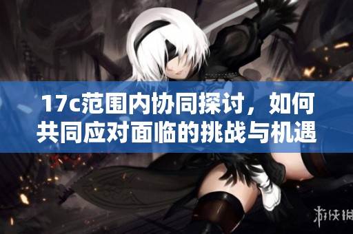 17c范围内协同探讨，如何共同应对面临的挑战与机遇