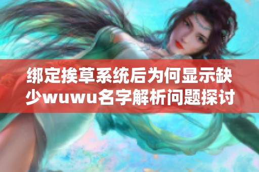 绑定挨草系统后为何显示缺少wuwu名字解析问题探讨