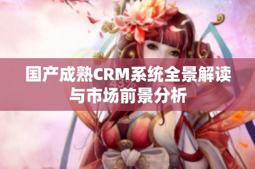 国产成熟CRM系统全景解读与市场前景分析
