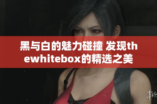 黑与白的魅力碰撞 发现thewhitebox的精选之美