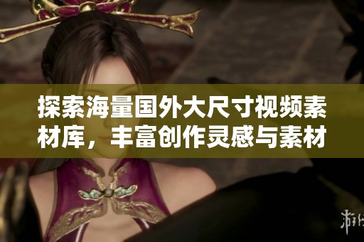 探索海量国外大尺寸视频素材库，丰富创作灵感与素材选择