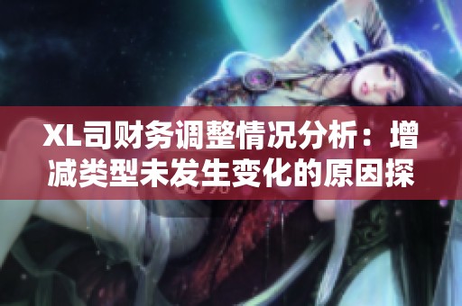 XL司财务调整情况分析：增减类型未发生变化的原因探讨