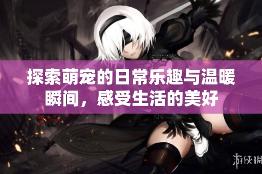 探索萌宠的日常乐趣与温暖瞬间，感受生活的美好