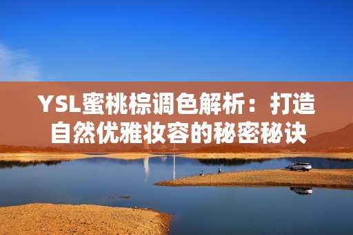 YSL蜜桃棕调色解析：打造自然优雅妆容的秘密秘诀