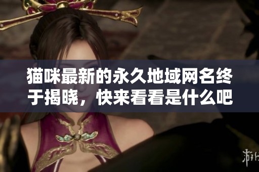 猫咪最新的永久地域网名终于揭晓，快来看看是什么吧