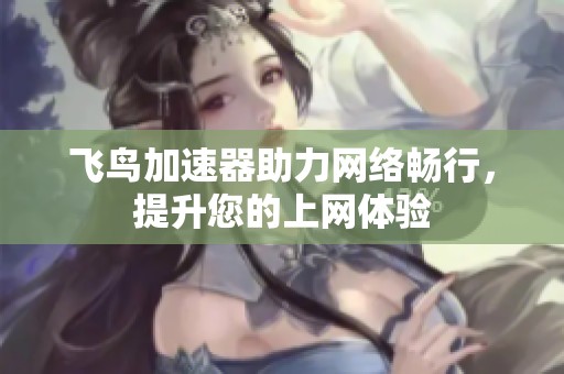 飞鸟加速器助力网络畅行，提升您的上网体验