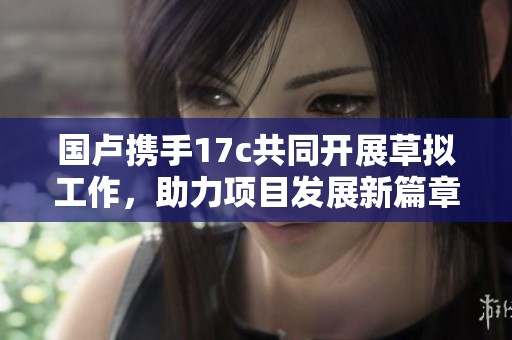 国卢携手17c共同开展草拟工作，助力项目发展新篇章