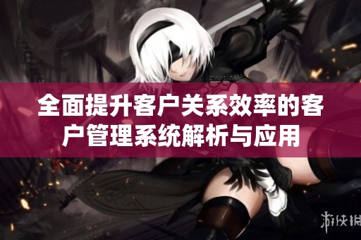 全面提升客户关系效率的客户管理系统解析与应用