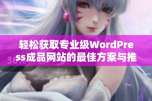轻松获取专业级WordPress成品网站的最佳方案与推荐