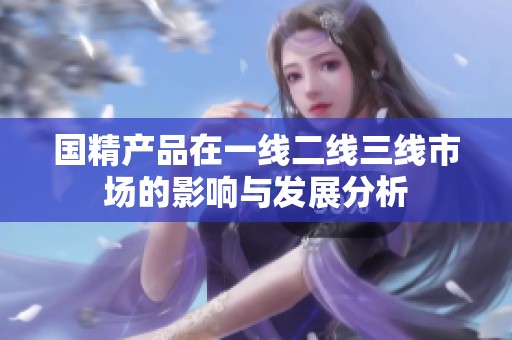 国精产品在一线二线三线市场的影响与发展分析