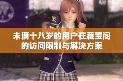 未满十八岁的用户在藏宝阁的访问限制与解决方案
