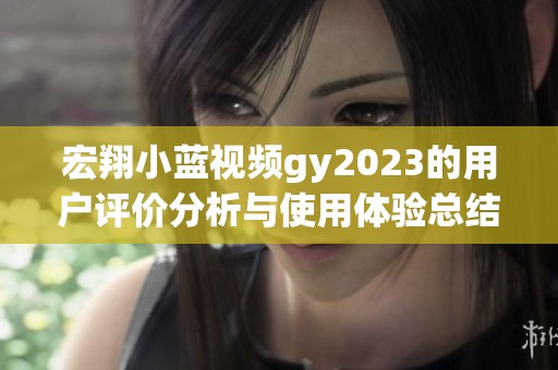 宏翔小蓝视频gy2023的用户评价分析与使用体验总结